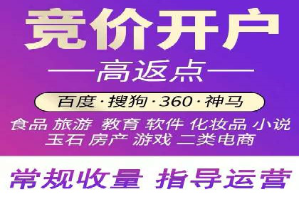 经典案例：SEM代运营服务公司的成功之路
